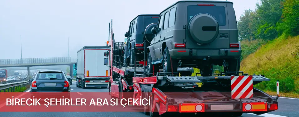 Birecik İlçemi Şehirler Arası Çekici